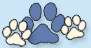 Maine Coon cats kittens Villa Park*PL maine coon cattery