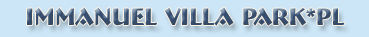 Immanuel - kot rasy maine coon Villa Park*PL