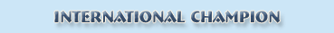 Immanuel - kot rasy maine coon Villa Park*PL